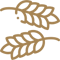 hop